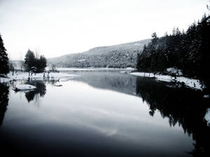 Comox Lake I