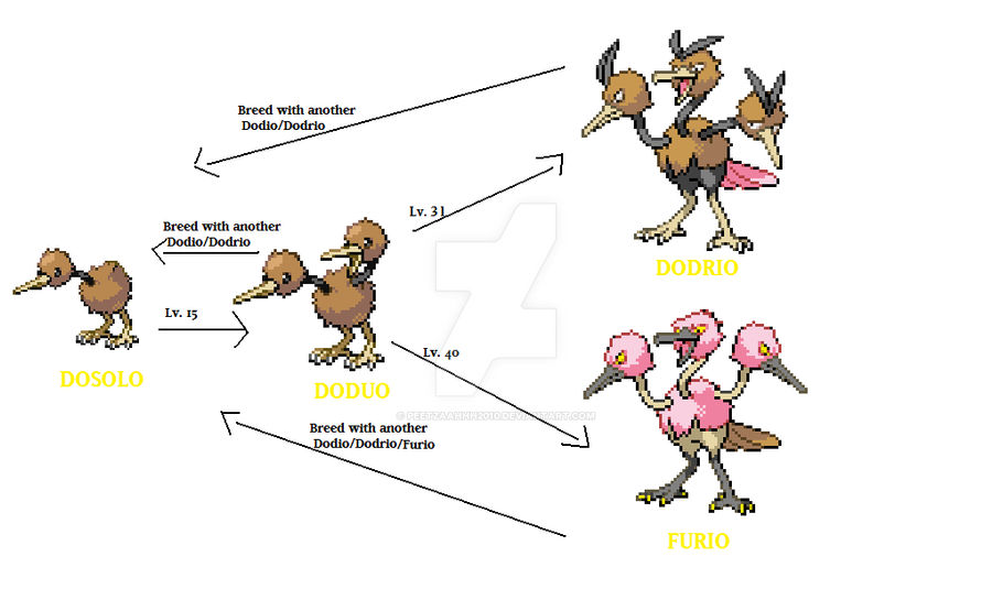 Doduo Evo Line By Peetzaahhh2010 On DeviantArt doduo-evo-line-by-peetzaahhh2010-on-deviantart