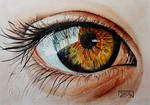 World Watercolor Month - Day 27 (Hazel Eye) by Harmony1965