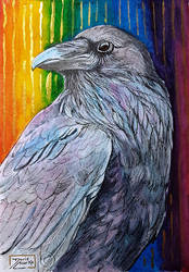 World Watercolor Month - Day 31 (Rainbow Raven)