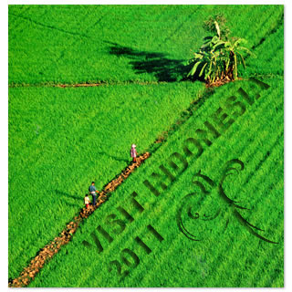 Visit Indonesia 'Crop Circle'