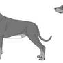 Free Doberman Lines- Male Natural Ears and Tail