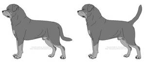 Free Rottweiler Lines- Male With Docked Tail by xLunastarx ...