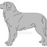 Free Carpathian Shepherd Dog Lines- Male