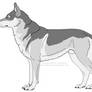 Free Czechoslovakian Wolfdog Lines- Male