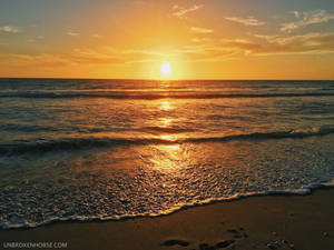 Sanibel Sunset