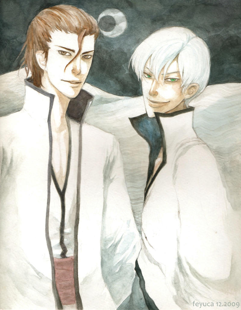 C.Bleach: Aizen x Gin