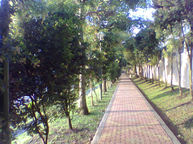 Road to school