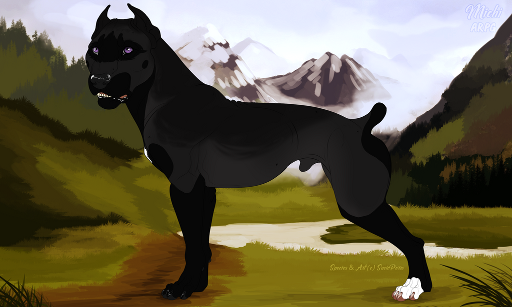 #83443 Velox by CavernofMichi on DeviantArt