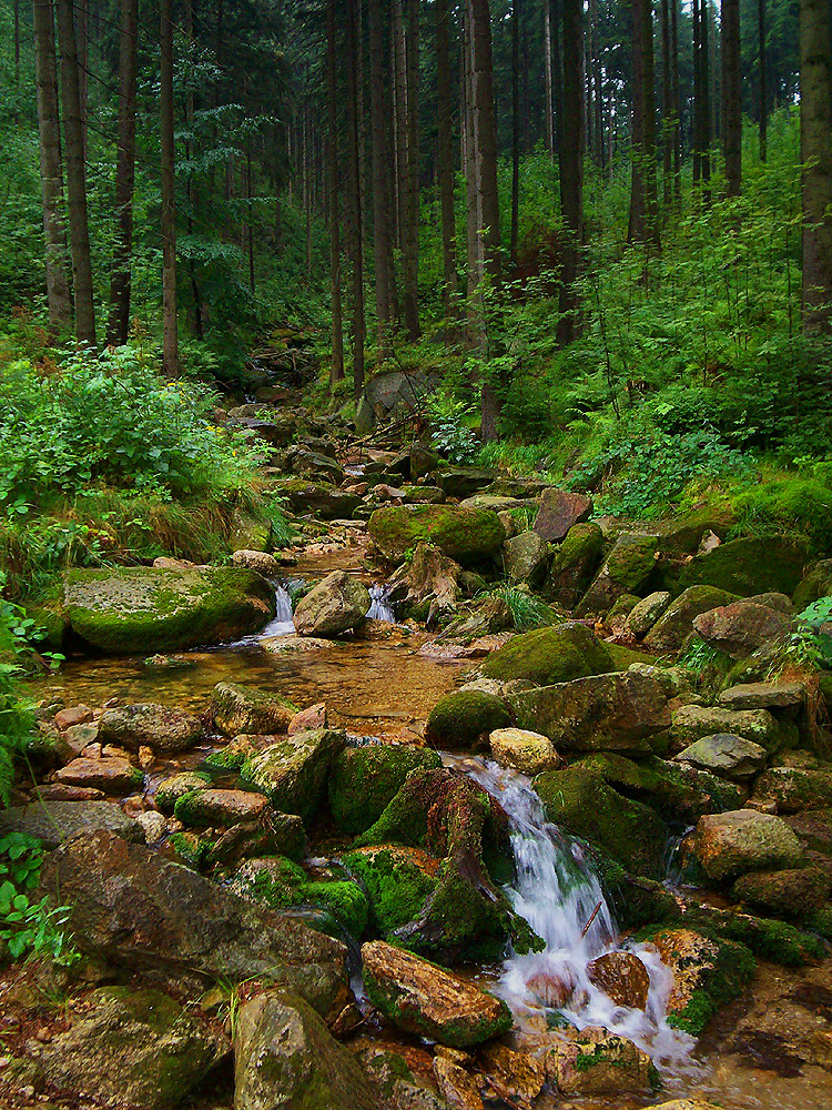 Stream in mountains III by Vrolok-stock