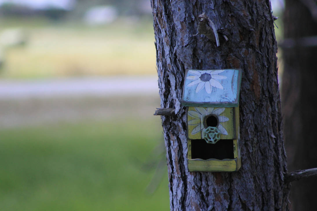 Birdhouse by trevorjriddle on DeviantArt