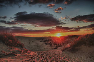 A walk on the beach