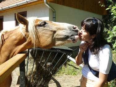 horse love