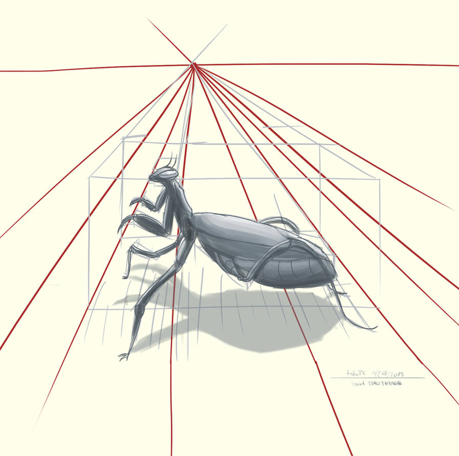 Flying Insect Perspective Drawing Insect Draw Through (1 point Perspective) by totopc on DeviantArt