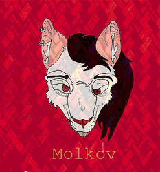 Molkov [Test:Album-art]