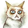 Grumpy Cat 2