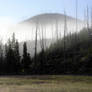 Yellowstone morning