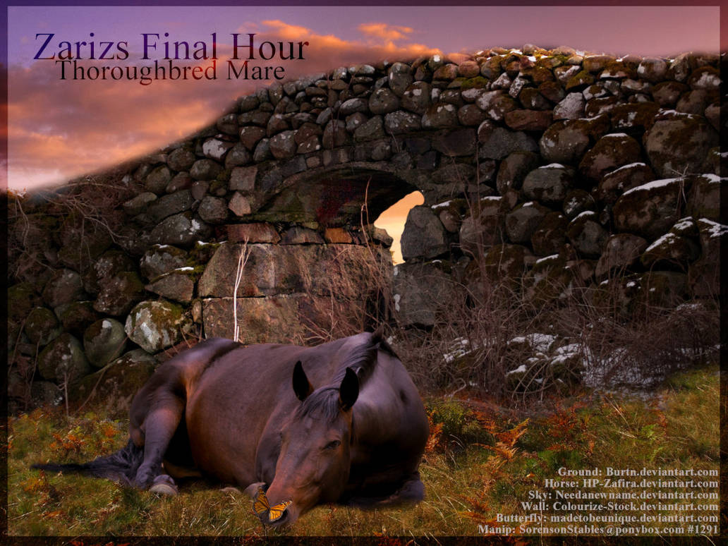 Zarizs Final Hour