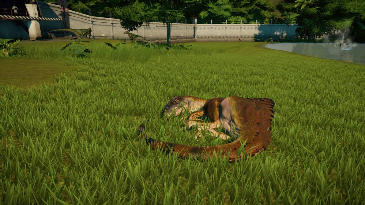 Sleepin Spinoraptor by Needyrodragon15 on DeviantArt