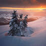 Beautiful sunset in winter Carpathians