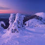 Berlebashka mount in twilight. Carpathians