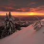 Snowy trees on background of amazing sunset in win