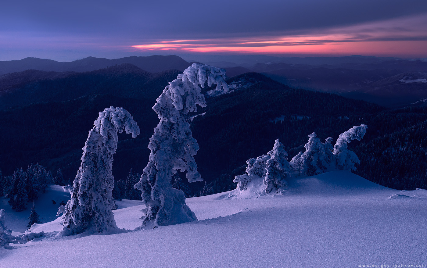 Twilight in Carpathians