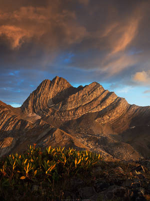 Katitsvera peak.  Racha region, Georgia by Sergey-Ryzhkov