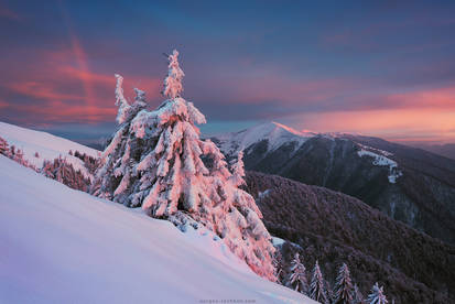 Winter Rainbow