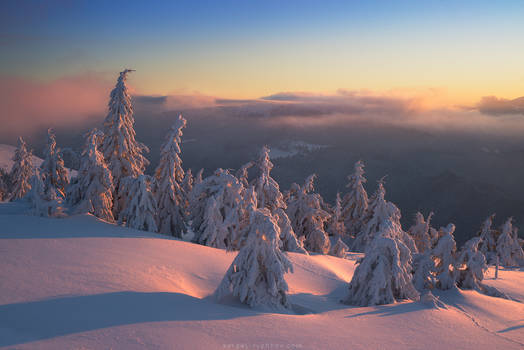 Just morning in Carpathians, Ukraine