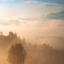 Misty morning in Carpathians