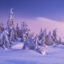 Winter in Carpathians