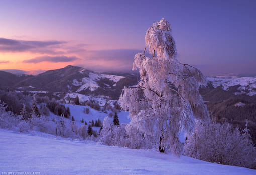 Winter in Bukovina