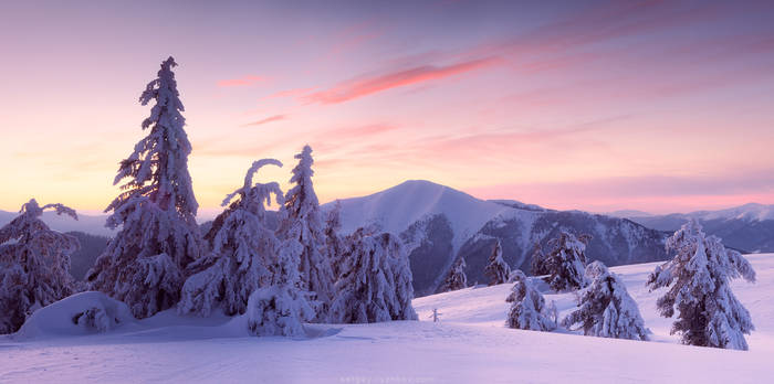 Winter Carpathians Pano