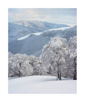 Winter in Ukrainian Carpathians