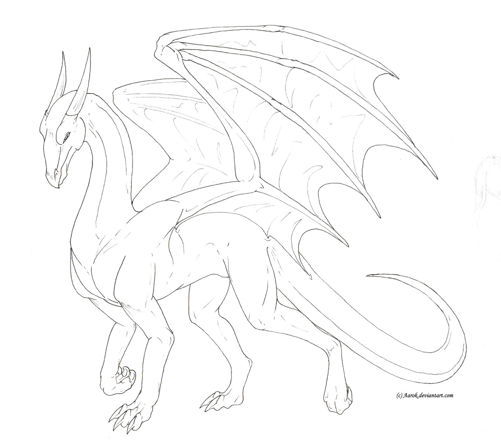 Male dragon lineart -free to use- by Aarok