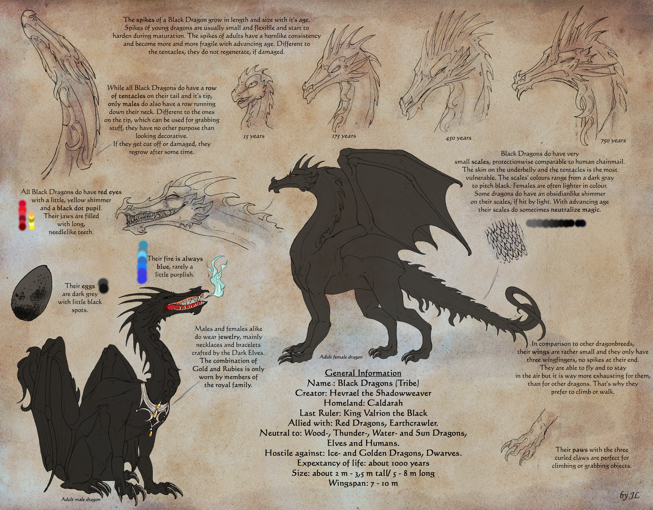 Black Dragons Refsheet