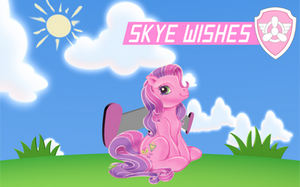 Sky(e) Wishes Poster