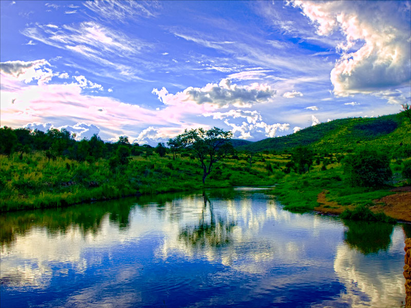 Elephant Pond