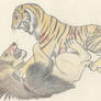 Barbary Lion vs Caspian Tiger