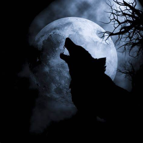 The Lone Wolf
