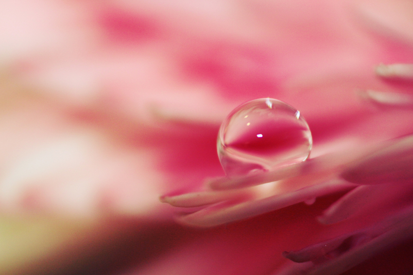 Droplet 2