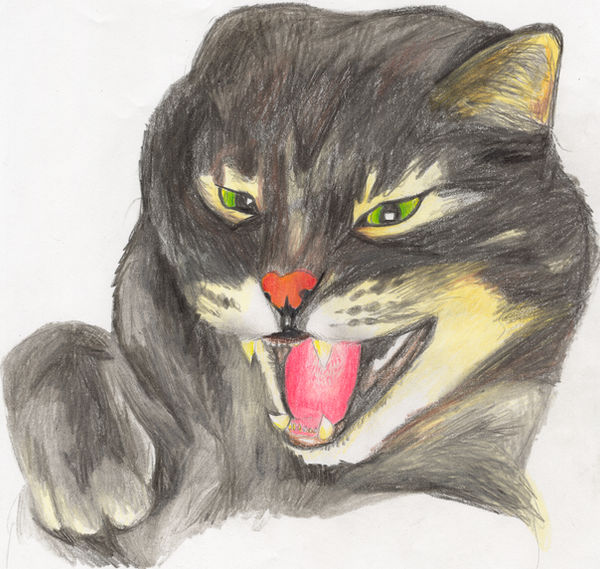 Mechant Chat By Zanimalz On Deviantart Mechant Chat By Zanimalz On Deviantart