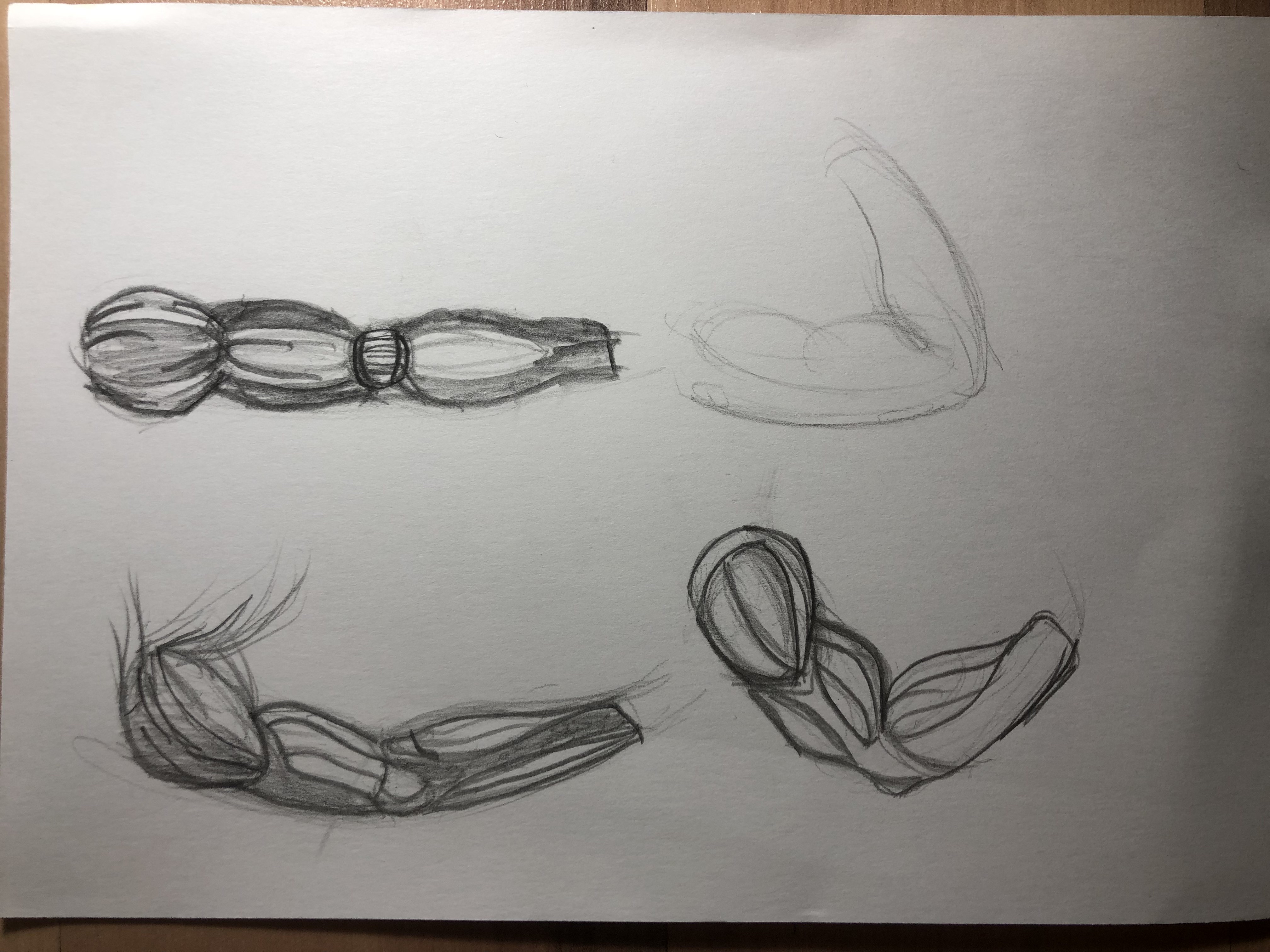 Design brainstorming sketches by TGMProductions on DeviantArt