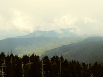 The Smokies