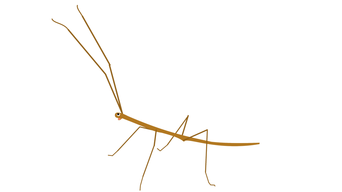 Baby Einstein Stick Bug by IMpingupingu on DeviantArt