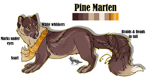 Pine Marten: FOR SALE