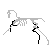 Skeleton equine icon base 2