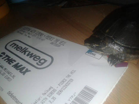 sternotherus odoratus with a ptv and sws ticket