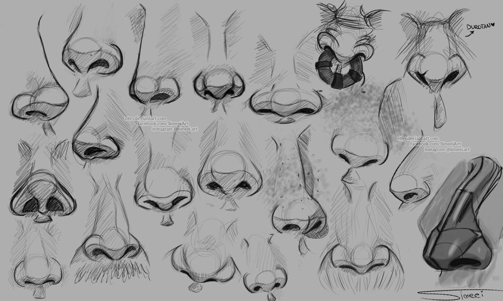 Nose studies by NtyS on DeviantArt